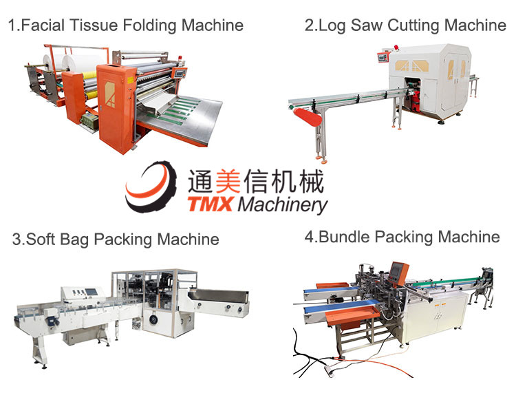 Machine Detail Picture of Facial Tissue Packing Machine